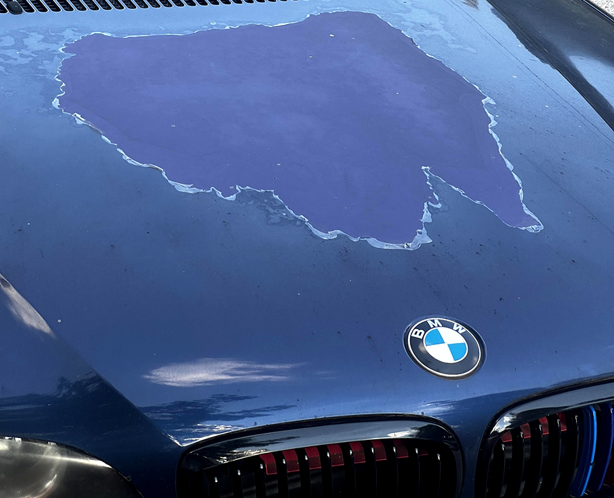 south florida auto paint repair